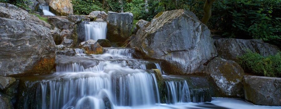The making of a Garden