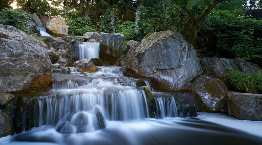The making of a Garden